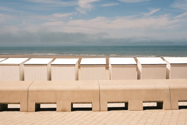 Photograph 5 by Frans Leys